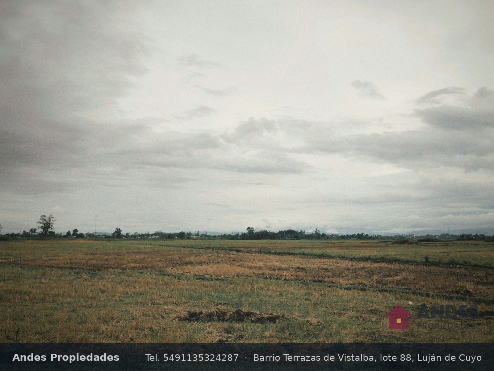Lote de 1.000 m² con vista a la cordillera en Vistalba, foto 1