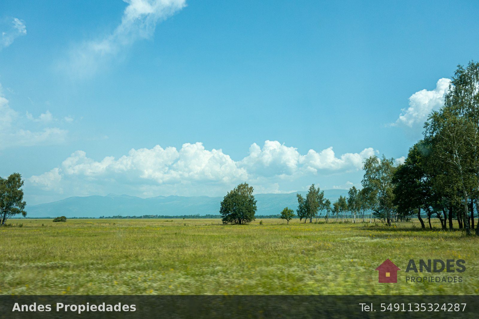 Finca de 40 hectáreas con viñedo en el Valle de Uco, foto 1