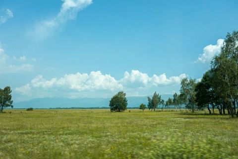 Finca de 40 hectáreas con viñedo en el Valle de Uco
